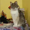 Отзыв от Тамара Афанасьева